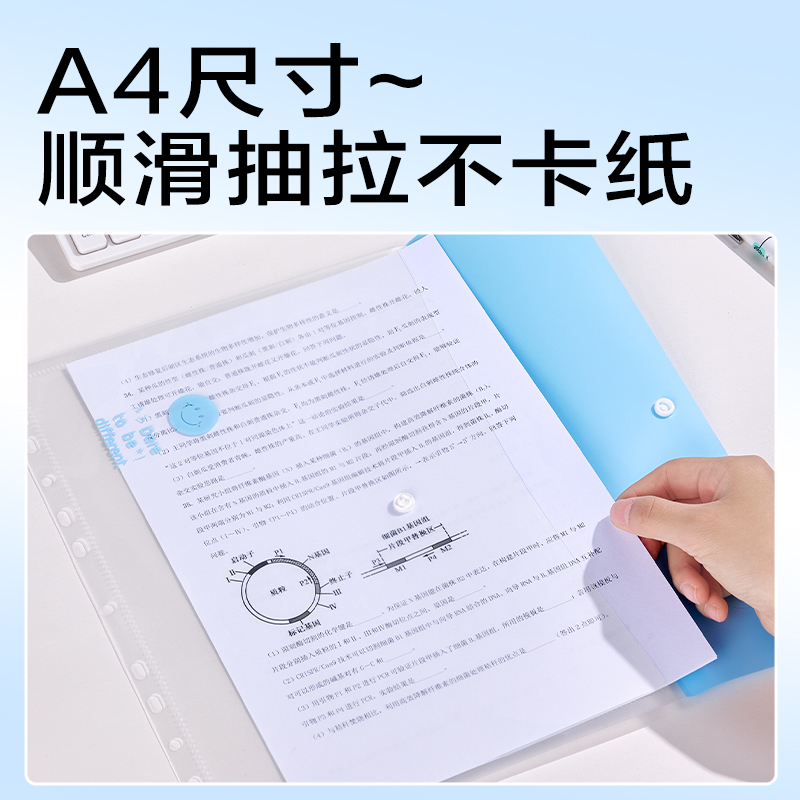 6008集团官方网站PE135_PP3孔夹(蓝)(个)