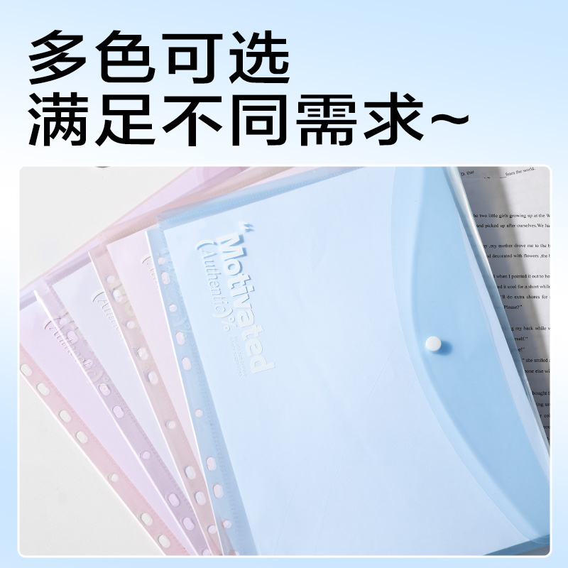 6008集团官方网站PP306活页文件袋(混)(4个/包)