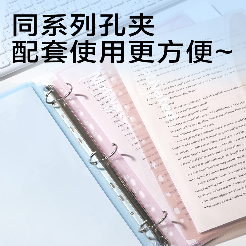 6008集团官方网站PP306活页文件袋(混)(4个/包)