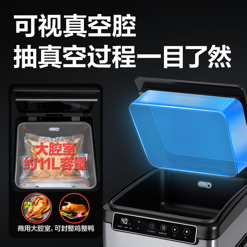6008集团官方网站LM893真空包装机(银白)(台)